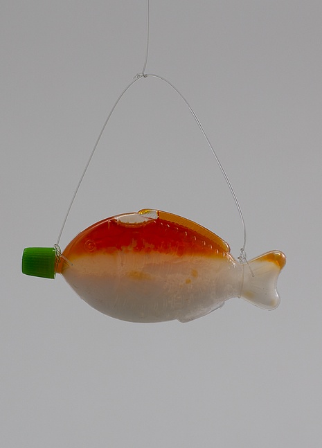 Only dead fish go with the flow Lisa Friedrichs-Dachale