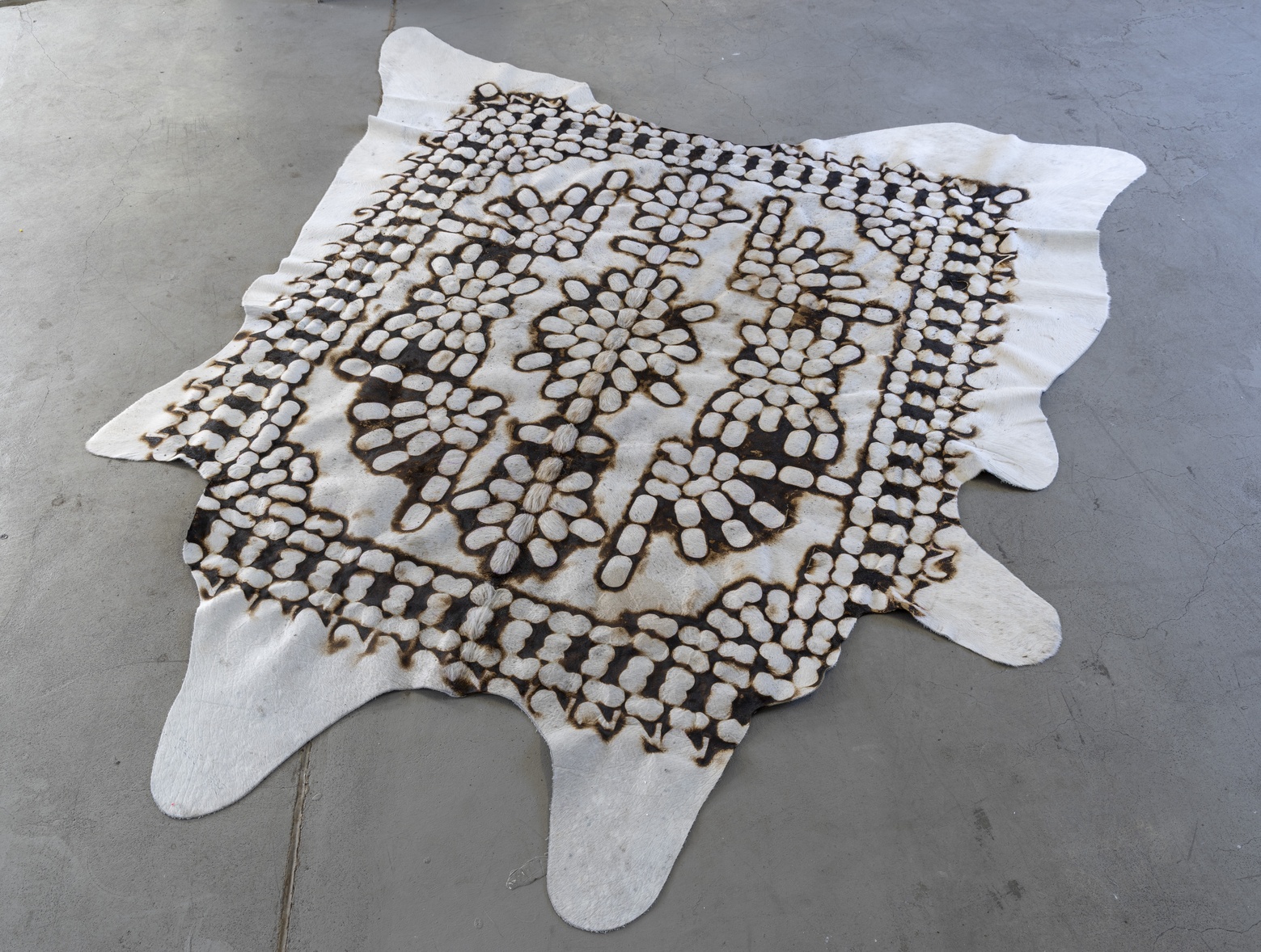 Kck Lisa Friedrichs-Dachale
