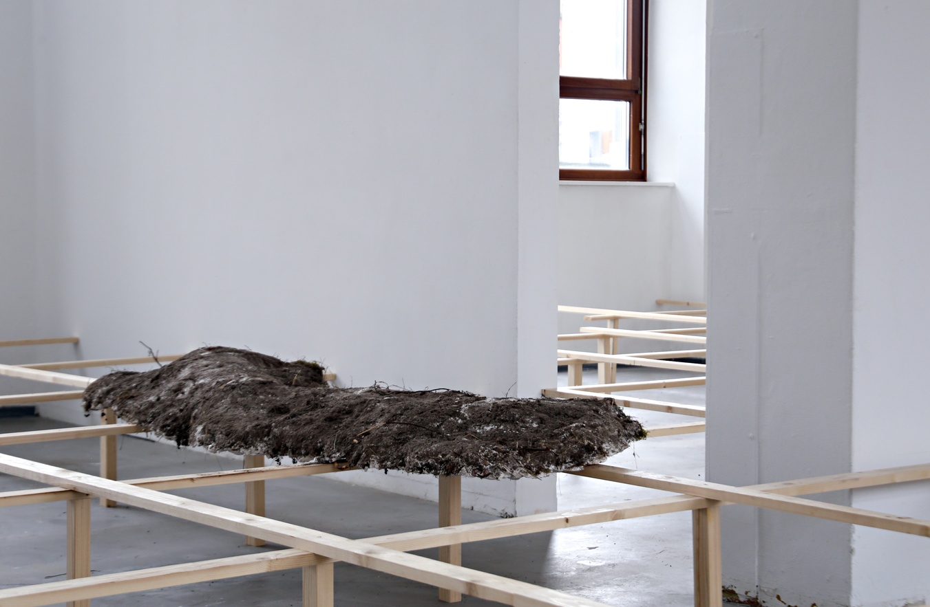 Archiv Installation Lisa Friedrichs-Dachale